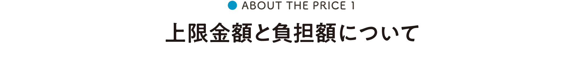 上限⾦額と負担額について